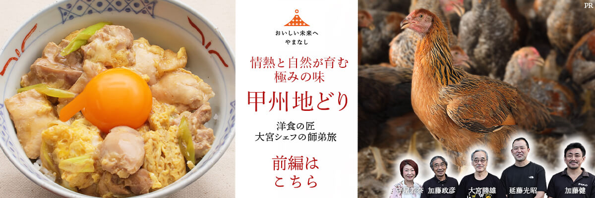 記事前編バナー