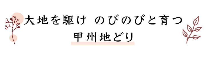 大地を駆け のびのびと育つ甲州地どり