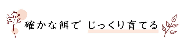 確かな餌で じっくり育てる