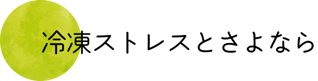 冷凍ストレスとさよなら