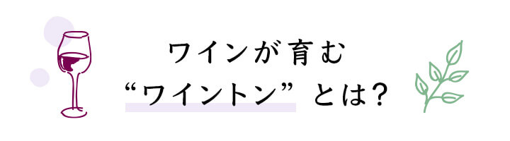 ワインが育む“ワイントン”とは？