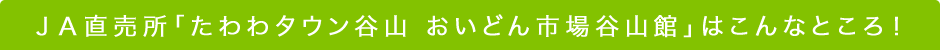 ＪＡ直売所「たわわタウン谷山 おいどん市場谷山館」はこんなところ!