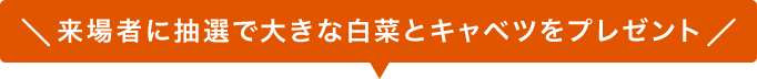 来場者に抽選で大きな白菜とキャベツをプレゼント