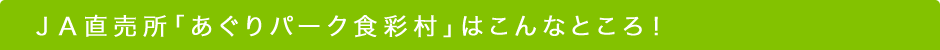 JA直売所「あぐりパーク食彩村」はこんなところ！