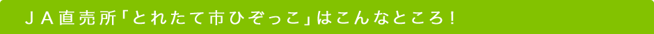JA直売所「とれたて市ひぞっこ」はこんなところ！