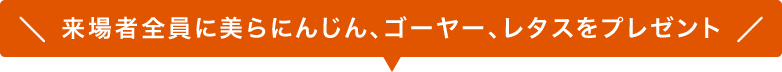 来場者全員に美らにんじん、ゴーヤー、レタスをプレゼント
