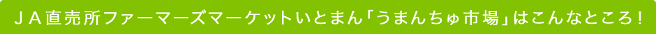 ＪＡ直売所ファーマーズマーケットいとまん「うまんちゅ市場」はこんなところ!