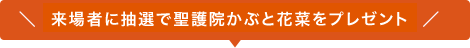 来場者に抽選で聖護院かぶと花菜をプレゼント