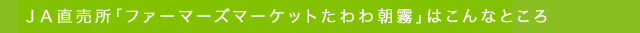 ＪＡ直売所「ファーマーズマーケットたわわ朝霧」はこんなところ!