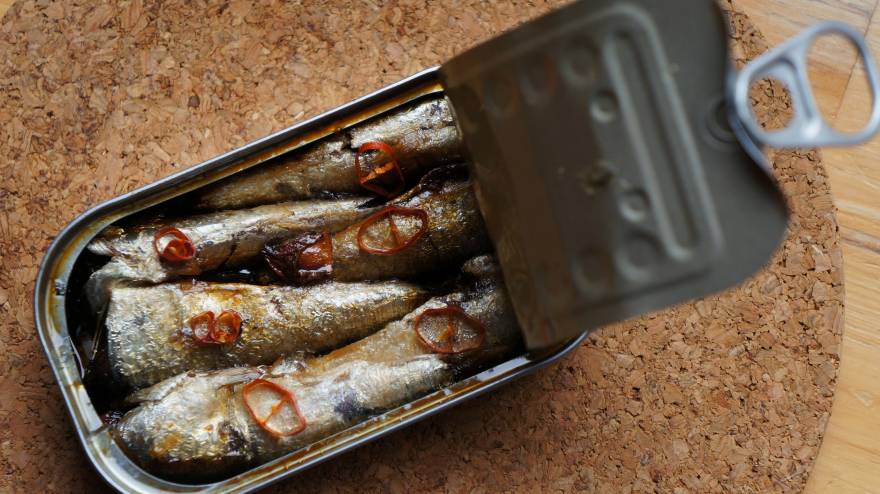 おとなのサーディン