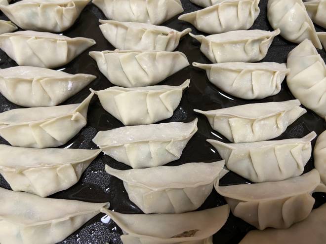 手作り餃子inおからパウダー