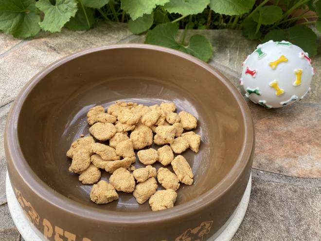 愛犬にも♡ヘルシー美味しいおからクッキー