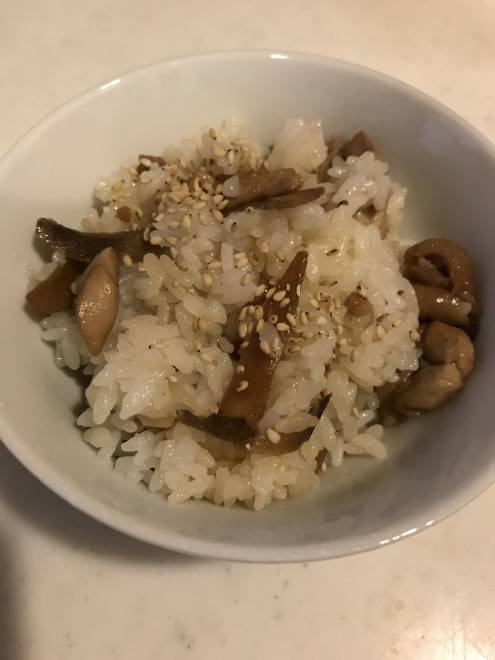 とりごぼうごはん