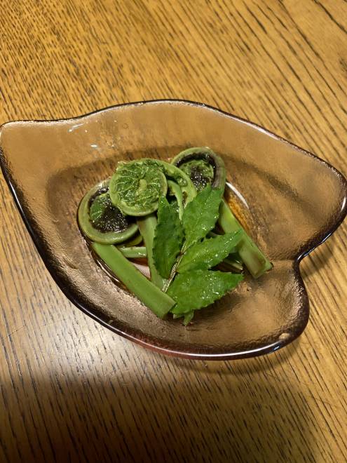 旬の山菜こごみのかつお節おひたし