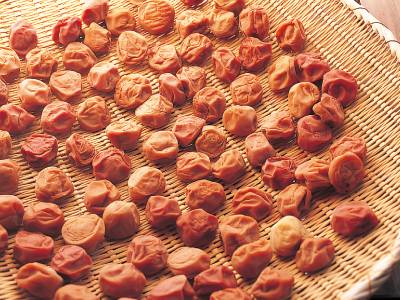 梅干し（3）土用干し