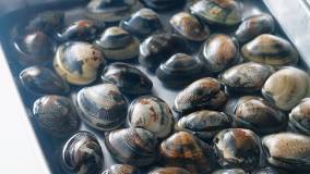 あさりの下処理