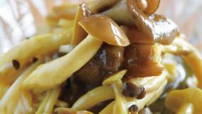 きのこのカレーピクルス