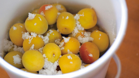 梅干し 1-塩漬け