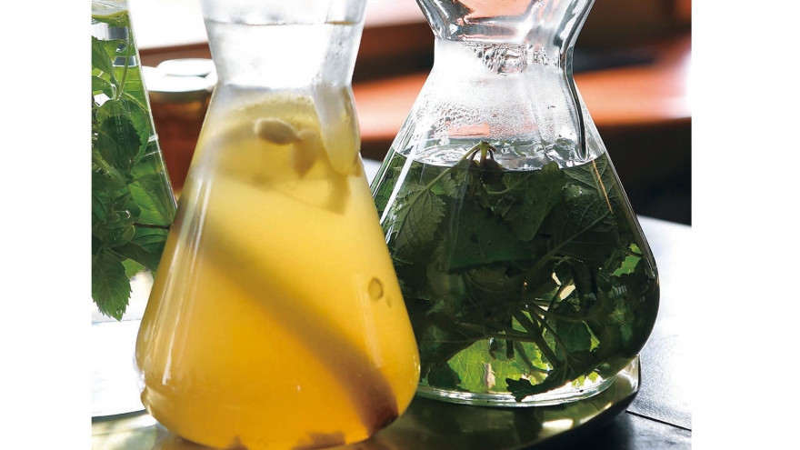 ホットハーブティー