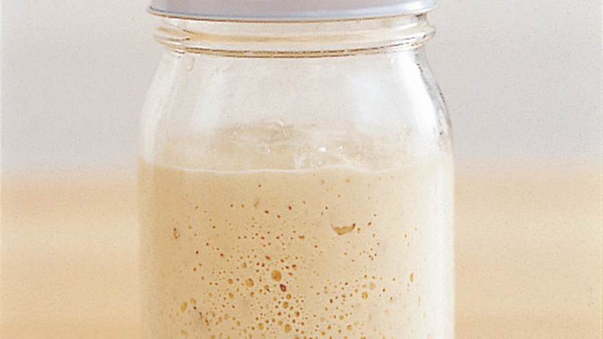 レーズン酵母種