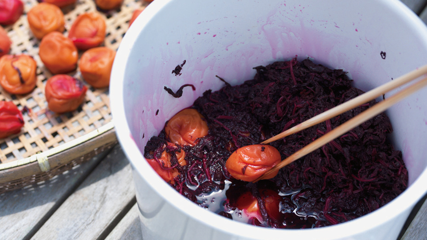 梅の甘いぽたぽた漬け 3-本漬け