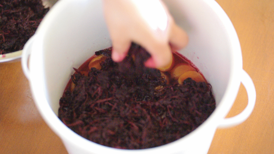 梅干し 2-赤じそ漬け