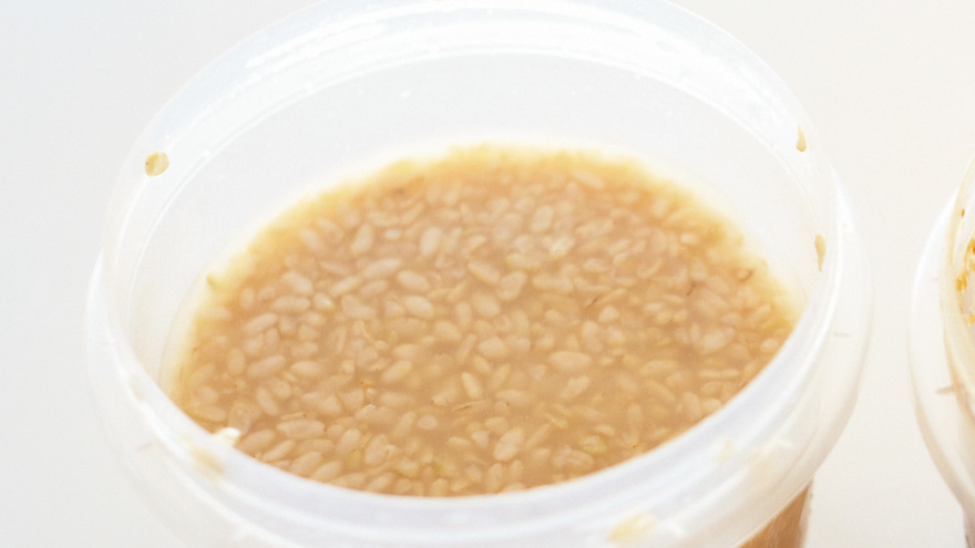 塩麹（こうじ）