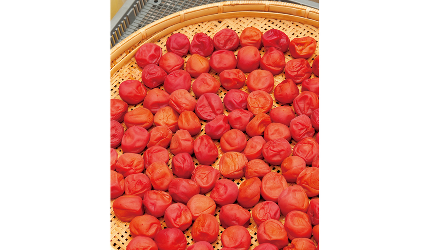 梅干し・土用干し