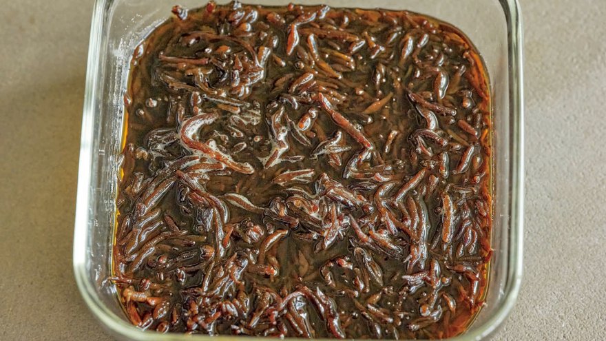 ひじきのしょうゆ漬け