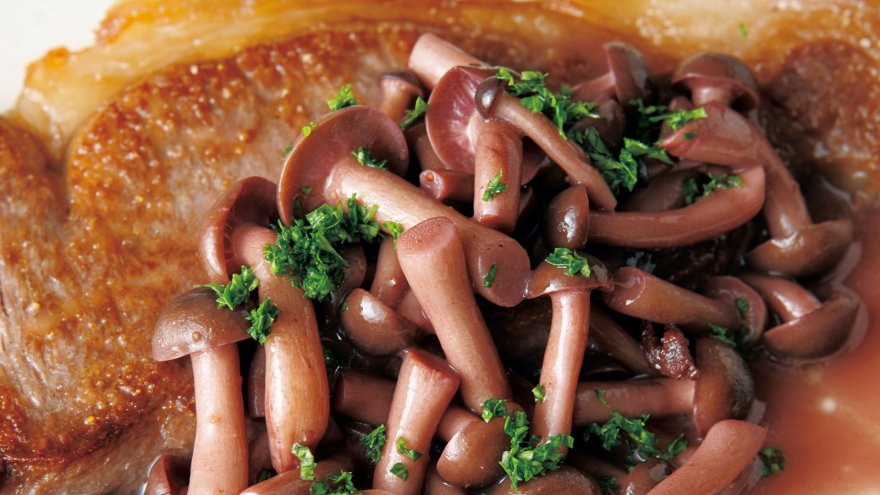 きのこ赤ワインソース