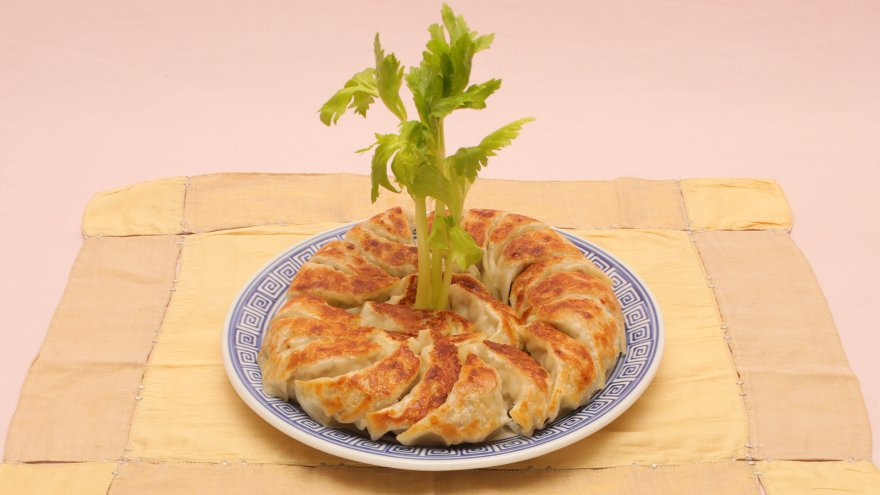 サマーギョーザ