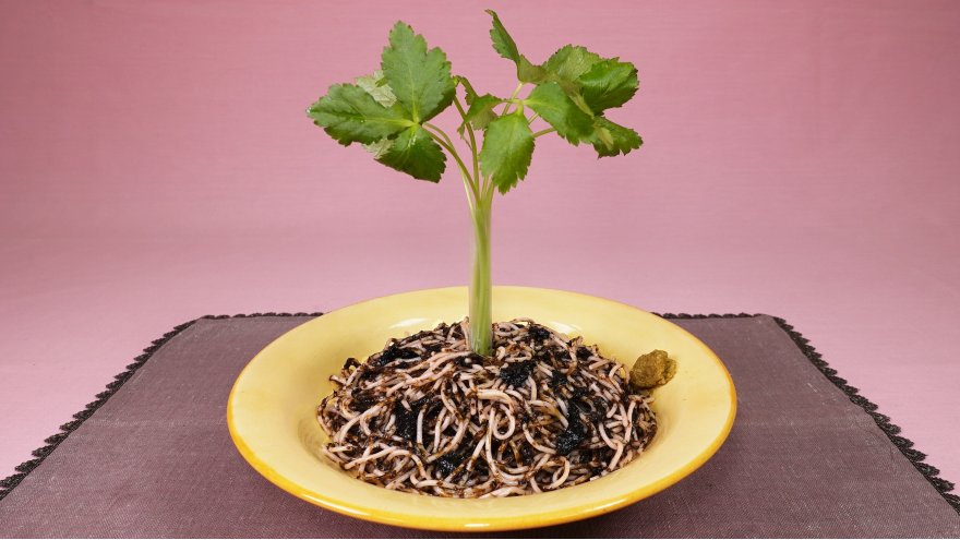 のりのりパスタ