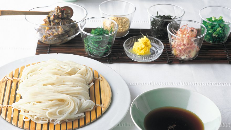 薬味たっぷりつけうどん