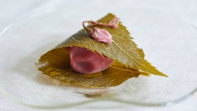 梅干しの桜の葉包み