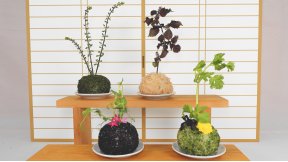 苔玉（こけだま）おむすび