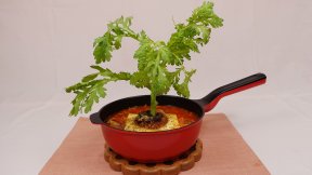 一丁豆腐くずしナベ