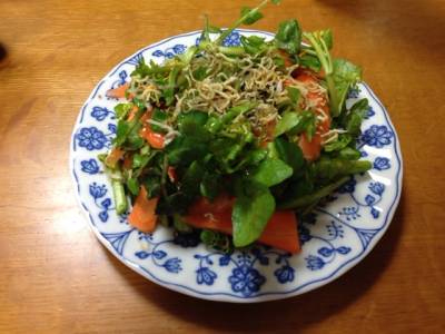 春にんじんとじゃこのサラダ