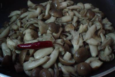 万能きのこソース