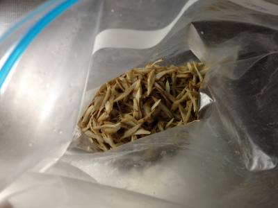 炒めささがきごぼう