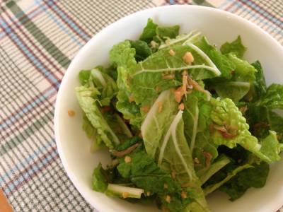 白菜のパリパリサラダ