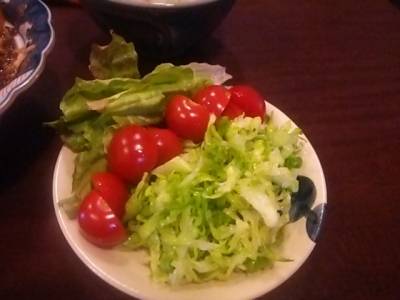 春キャベツのコールスロー