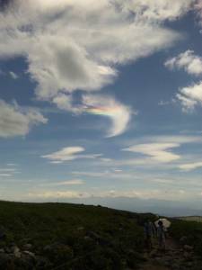 せん切りレタスと豚こまのしょうが焼き