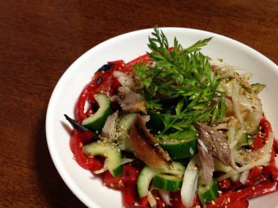 薬味たっぷりあじサラダ