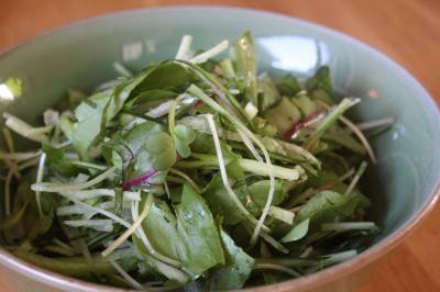 薬味野菜のごまサラダ