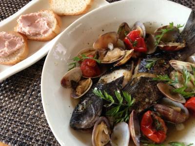 レンジアクアパッツァ