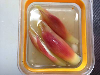 みょうがのピクルス