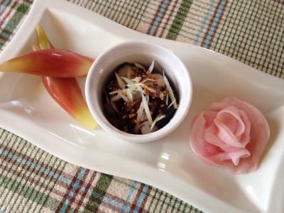 三宅さんちのたこ