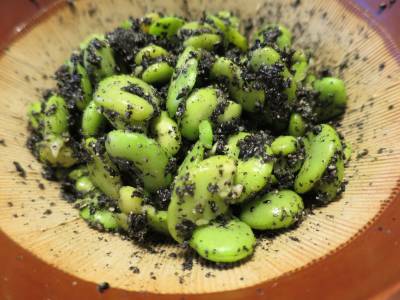 そら豆のごまよごし