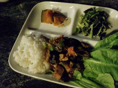 なすと鶏肉のドライカレー