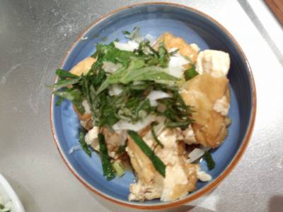 厚揚げチャポン